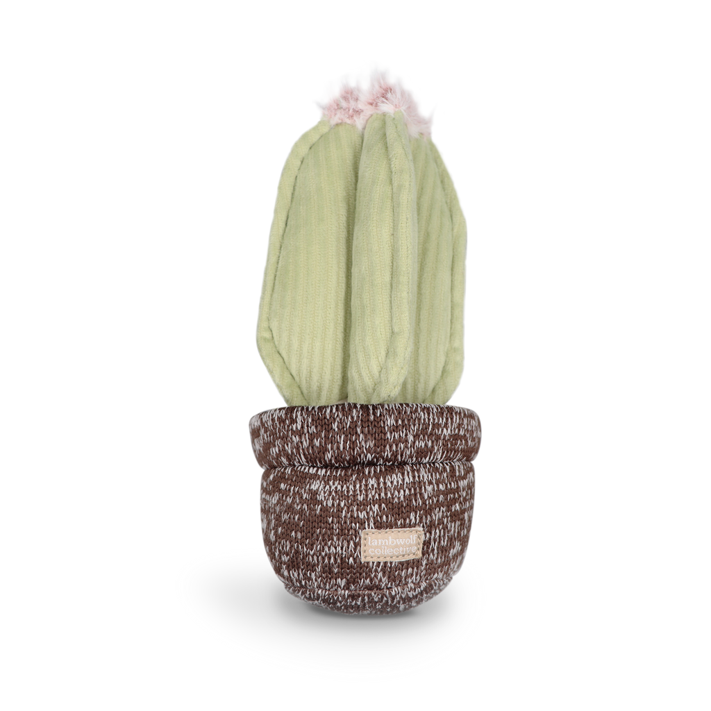 Cactus — Enrichment Dog Toy