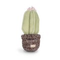 Cactus — Enrichment Dog Toy
