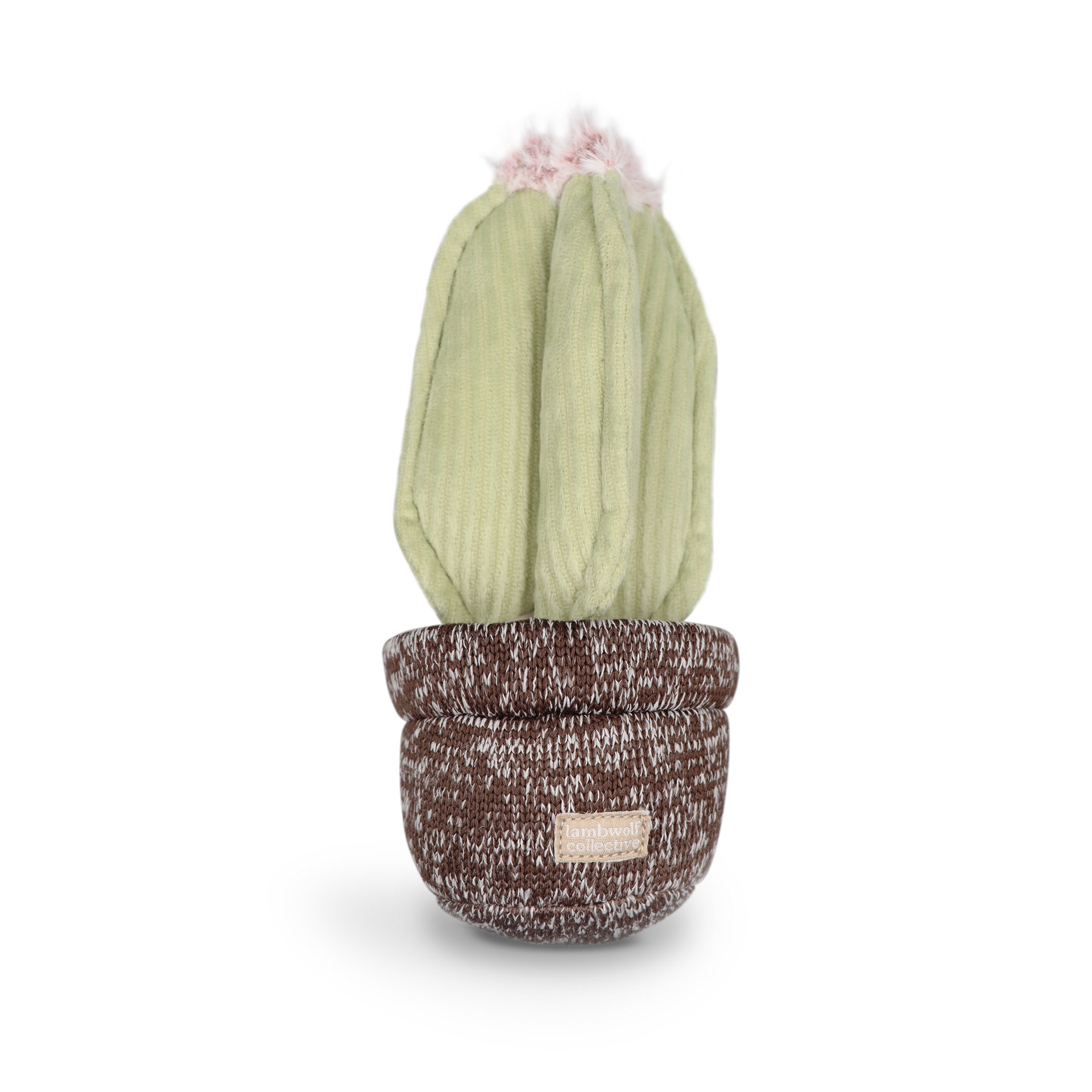 Cactus — Enrichment Dog Toy