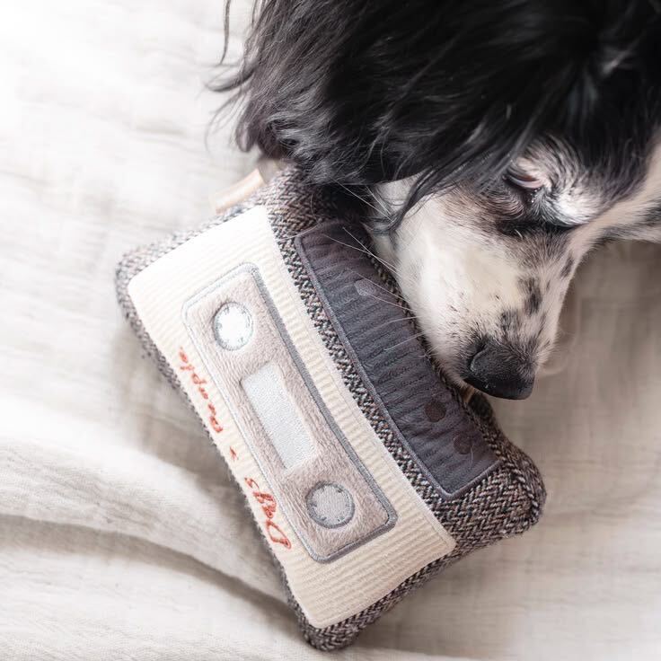 Dog snuggling with the Cassette — Enrichment Dog Toy