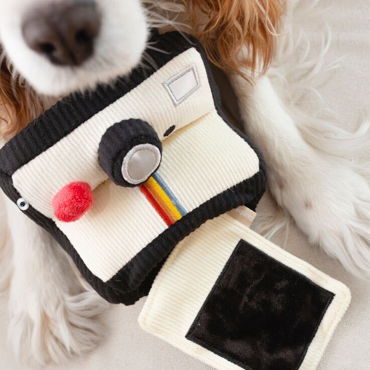 Instant Camera Enrichment Dog Toy — additional photo 3