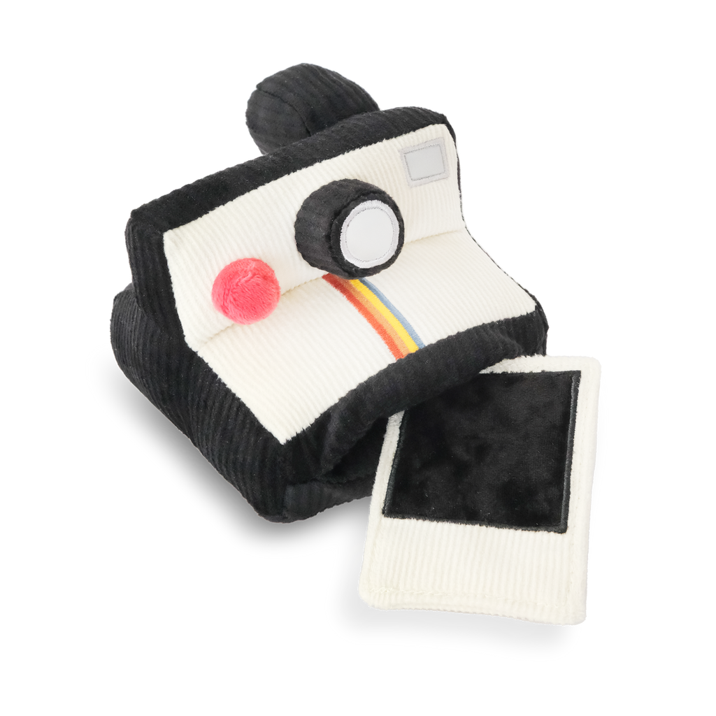 Instant Camera — Enrichment Dog Toy