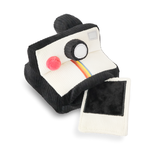Instant Camera — Enrichment Dog Toy